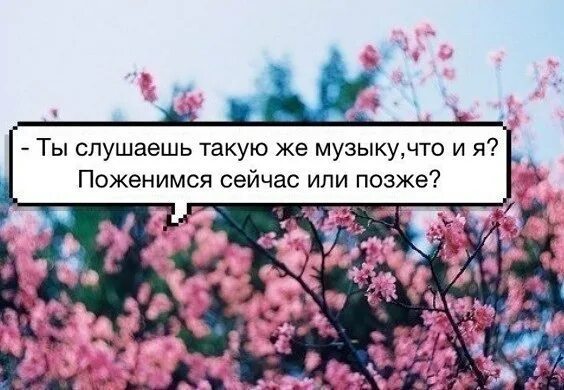 Слушать такую как я тебе не найти. Слушать такую как я тебе не найти