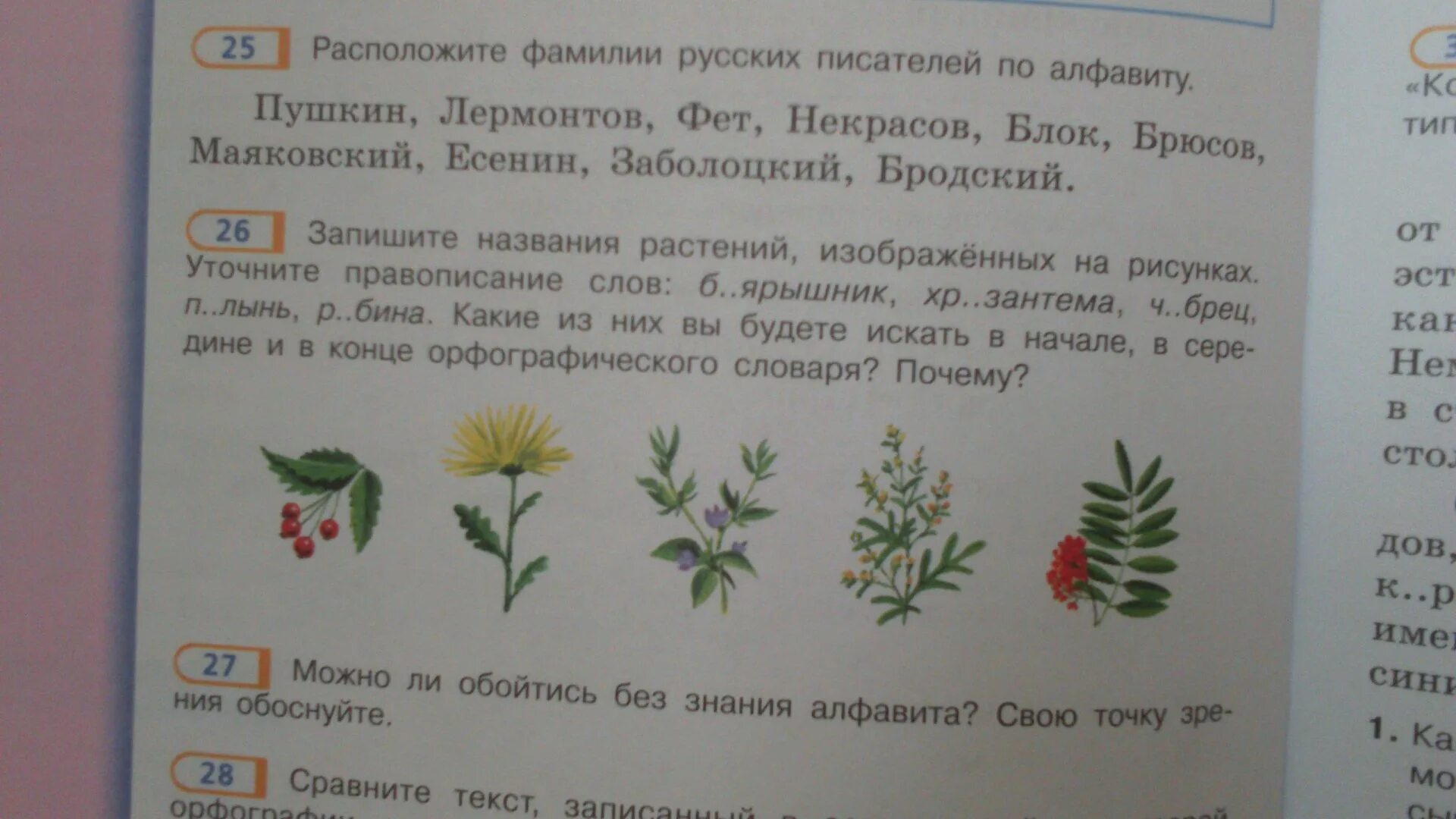 Подчеркнуть слова трава цветок. Запиши названия растений. Растения из орфографического словаря. Названия растений по русскому языку. Слова называющие растения.