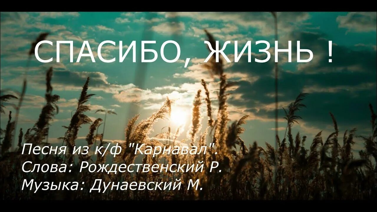 Песни из карнавала спасибо жизнь. Спасибо жизнь Рождественский. Спасибо жизнь песня. Спасибо жизнь карнавал. Слова песни спасибо жизнь.