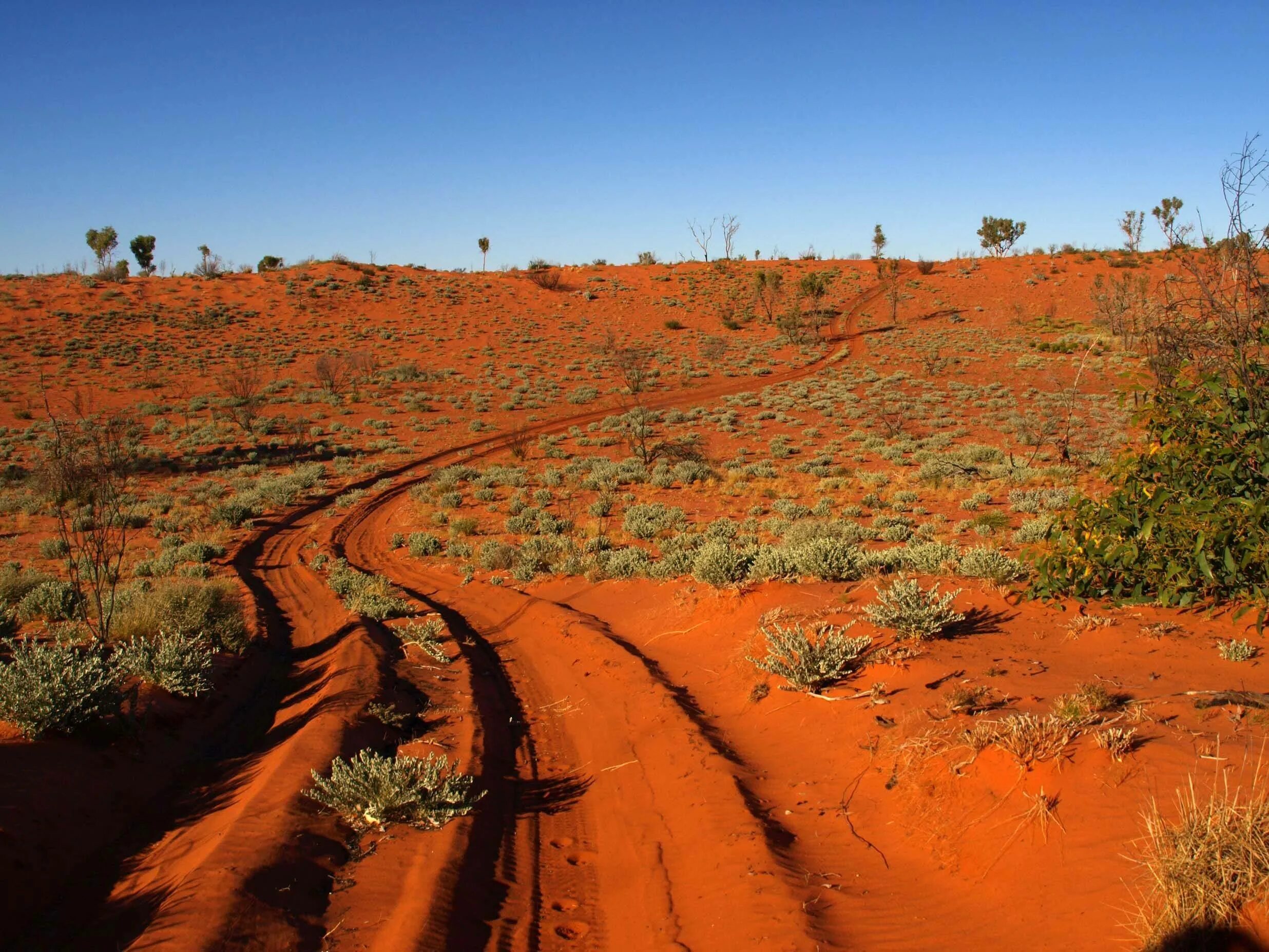 Пустыни Австралии большая Песчаная. Пустыня гибсона австралия