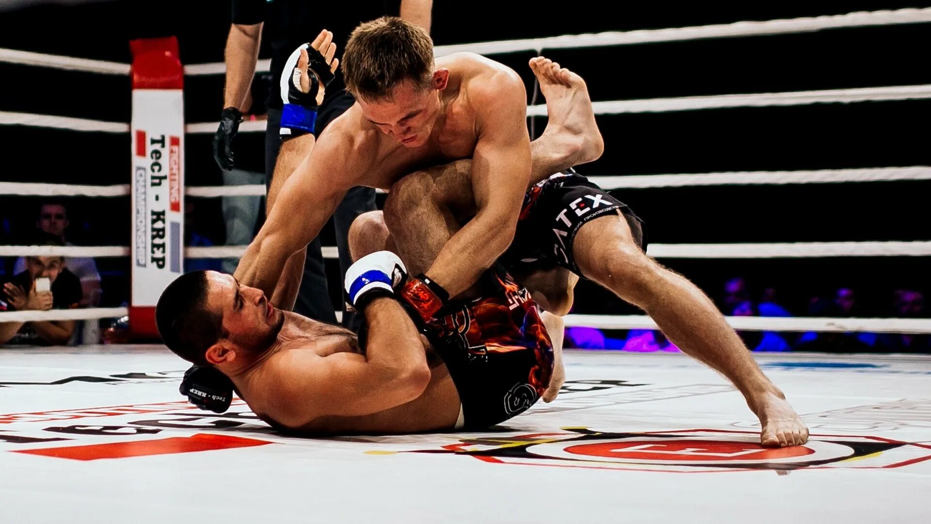 смешанные боевые единоборства мма. боксерский поединок. международные единоборства. международные единоборства.