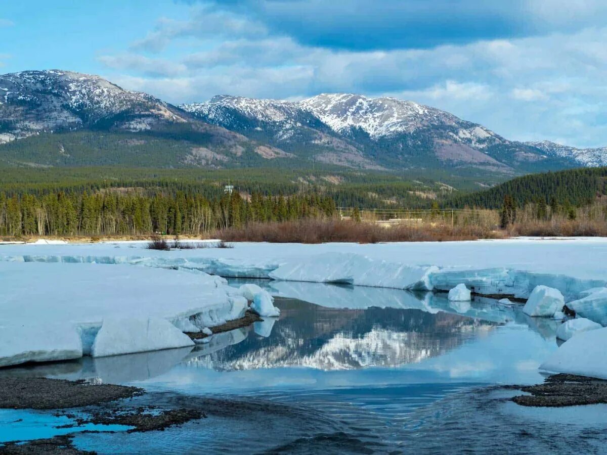 река юкон относится к бассейну