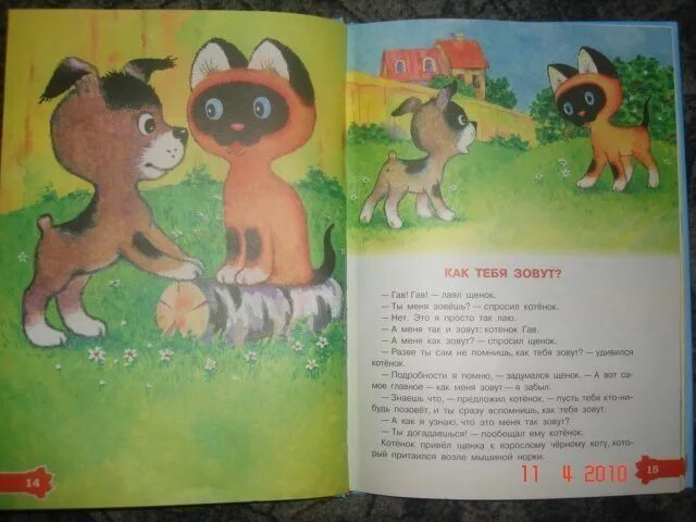 Котенок по имени гав читательский дневник. Котенок по имени гав когда начинают кусаться. Котенок по имени гав как тебя зовут. Одни неприятности остер г. Котенок по имени гав.