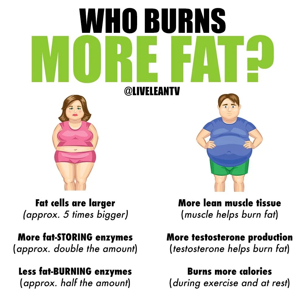 Fat me перевод. Fat me перевод. Fat body types. Cat idioms. Nikocado avocado mcdonalds.
