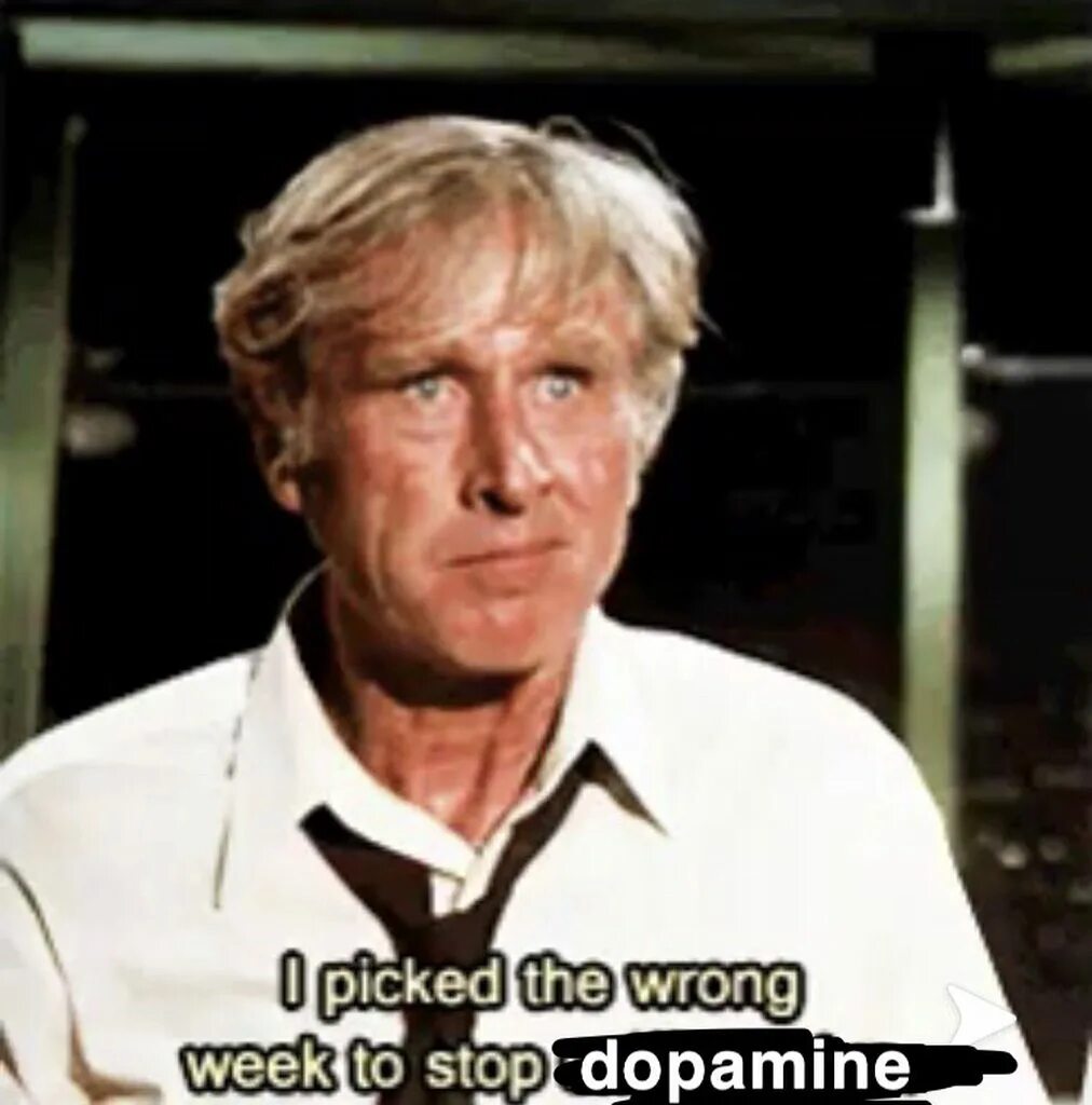 Come they are looking meme. Ллойд бриджес аэроплан. Ллойд бриджес аэроплан. I have picked. Ллойд бриджес.