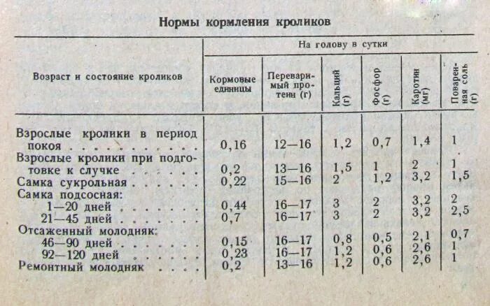 Кролики по возрасту таблица БД для ведения учета на Кролеферме. Формат БД Access 2003 Обращаться в.. 2015 Ра