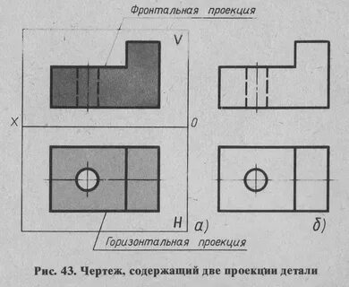 Фронтальная сторона это какая
