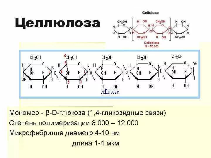 Целлюлоза формула полимера. Строение полимера целлюлозы. Структурная формула клетчатки целлюлозы. Целлюлоза амилоза Целлюлоза Глюкоза.