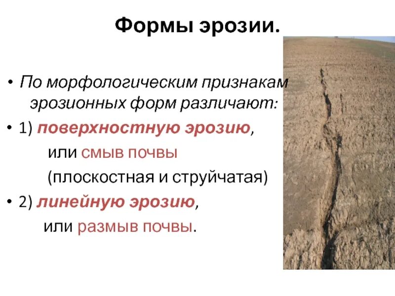 Морфологическим полом