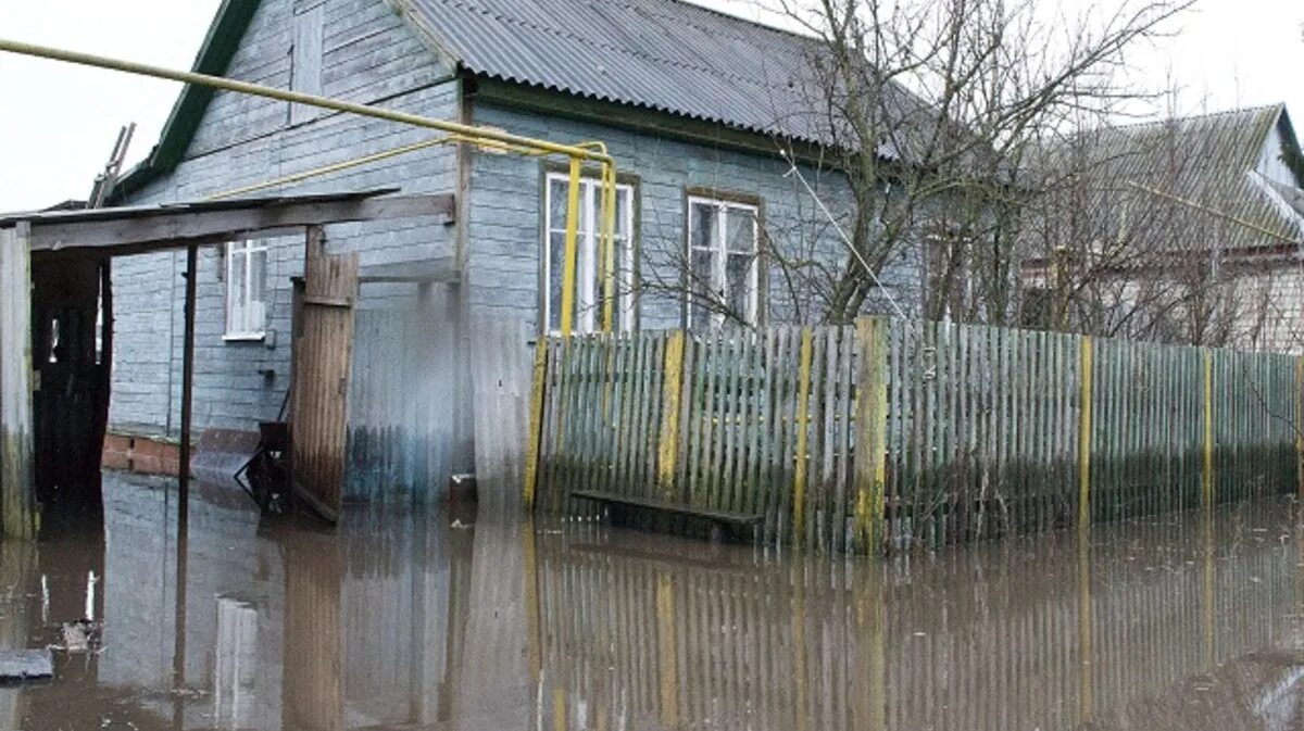 РП Давыдовка Лискинский район. Почепское Лискинский район. Село Почепское Лискинского района Воронежской области. Происшествия в Давыдовке.