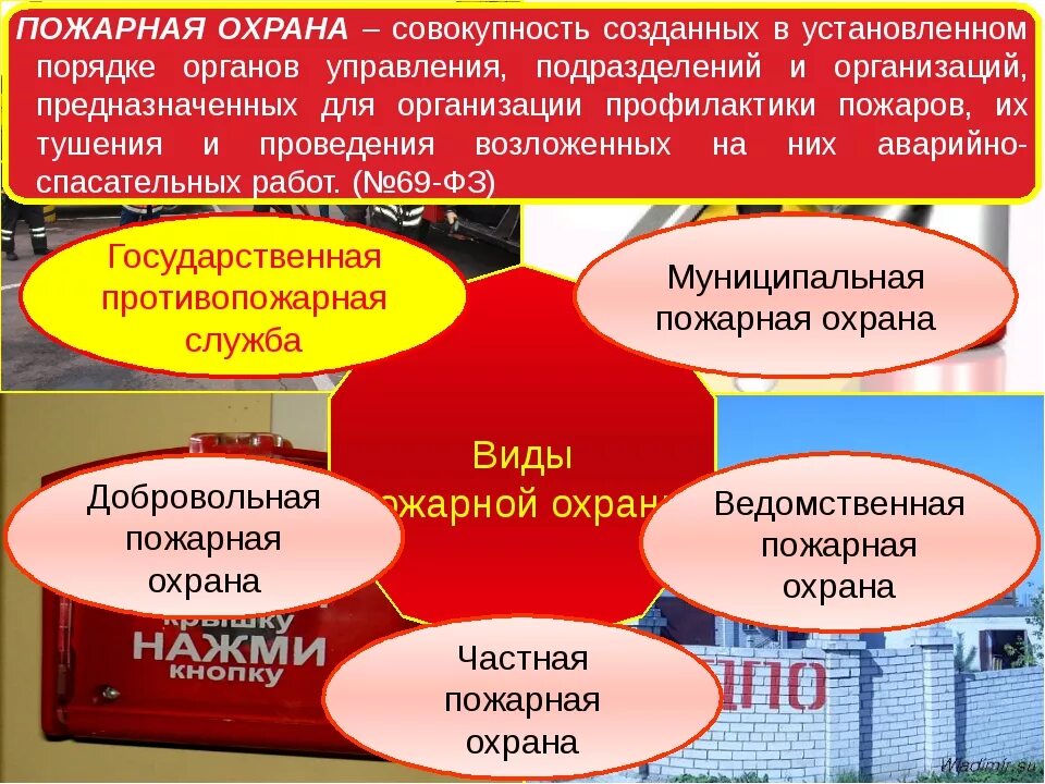 Какие виды пожарной охраны бывают