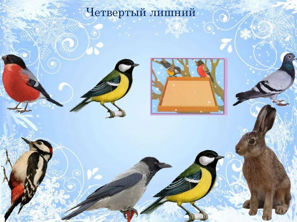 Речевая игра птицы. 4 Лишний зимующие птицы для дошкольников. Зимующие птицы занятие для малышей. Зимующие птицы средняя группа. Зимующие птицы подготовительная группа.