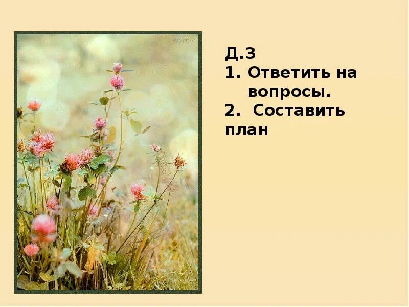 Как они помогают понять основную мысль произведения. Цветок на земле описание цветка. Рассказ цветок на земле. Главная мысль рассказа цветок на земле.