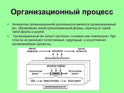 Организационные процессы