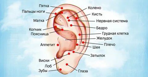 Массаж козелка уха