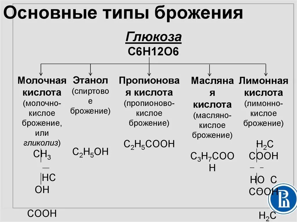 Схема брожения бактерий. Брожение микробиология таблица. Виды брожения. Основные виды брожения. К брожению способны