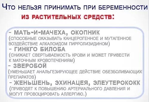 Что можно пить беременным от температуры. Какие травы нельзя беременным. травы запрещенные при беременности. какие травы нельзя при беременности. травы запрещенные для беременных.