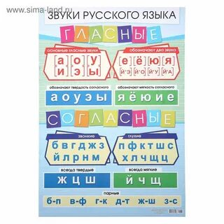 Гласные и согласные это буквы или звуки