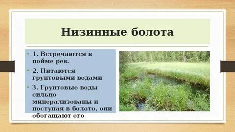 Презентация болота 6 класс география