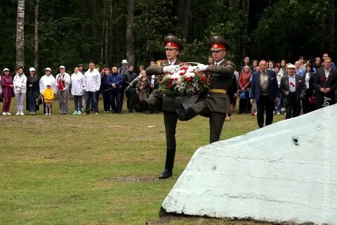 Под гомелем