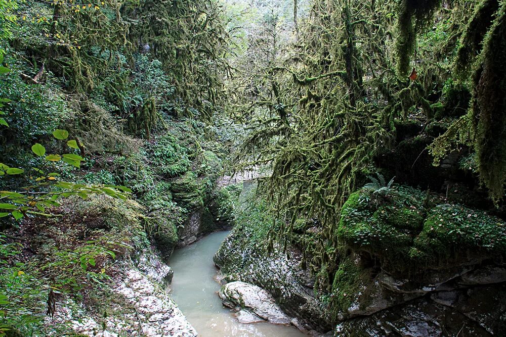 ущелье бриант. ущелье в горах. горы водопад ручей лес. буковые леса шотландии. каньон расщелина сша.