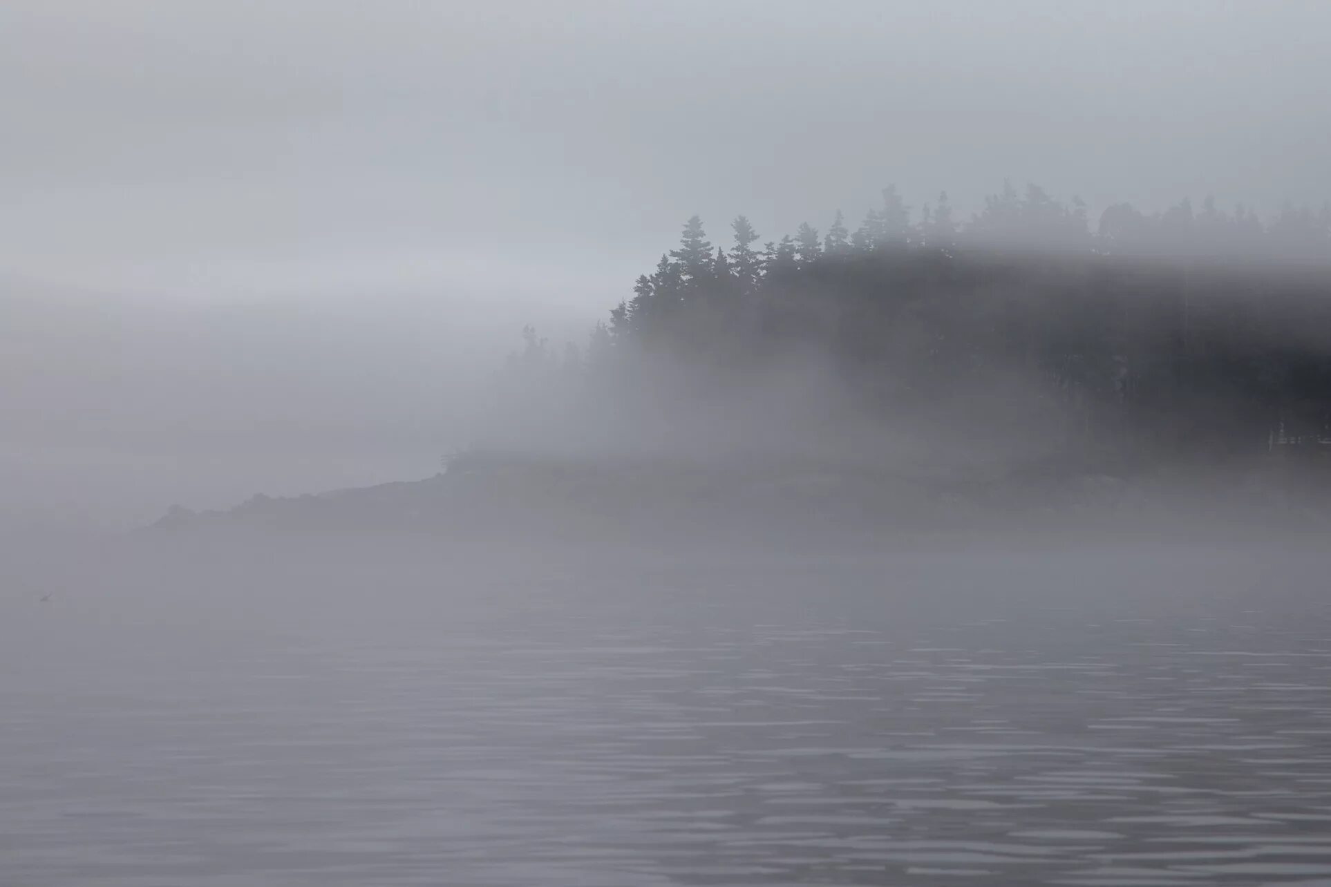 Густой туман. Дымковская игрушка вятка. Как выглядит дымка. Туман дымка. Природа туман.