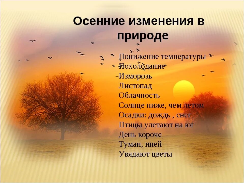 Сезонные изменения в жизни растений таблица. Осенние явления природы. Природные явления осенью. Осенние изменения в природе. Изменения в природе осенью.