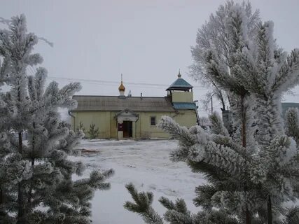 Зензеватка ольховский волгоградская область