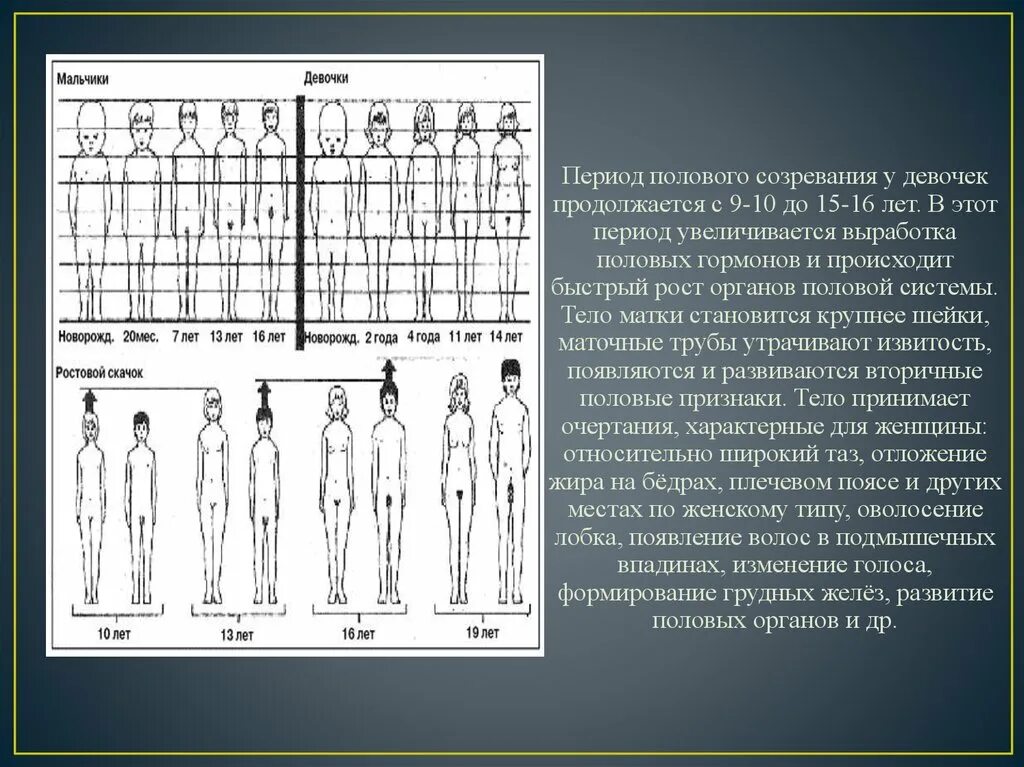 Половое созревание юношей и девушек. Этапы полового развития девочки. Периоды развития девочки. Периоды полового развития девочек. Стадии развития половых органов.