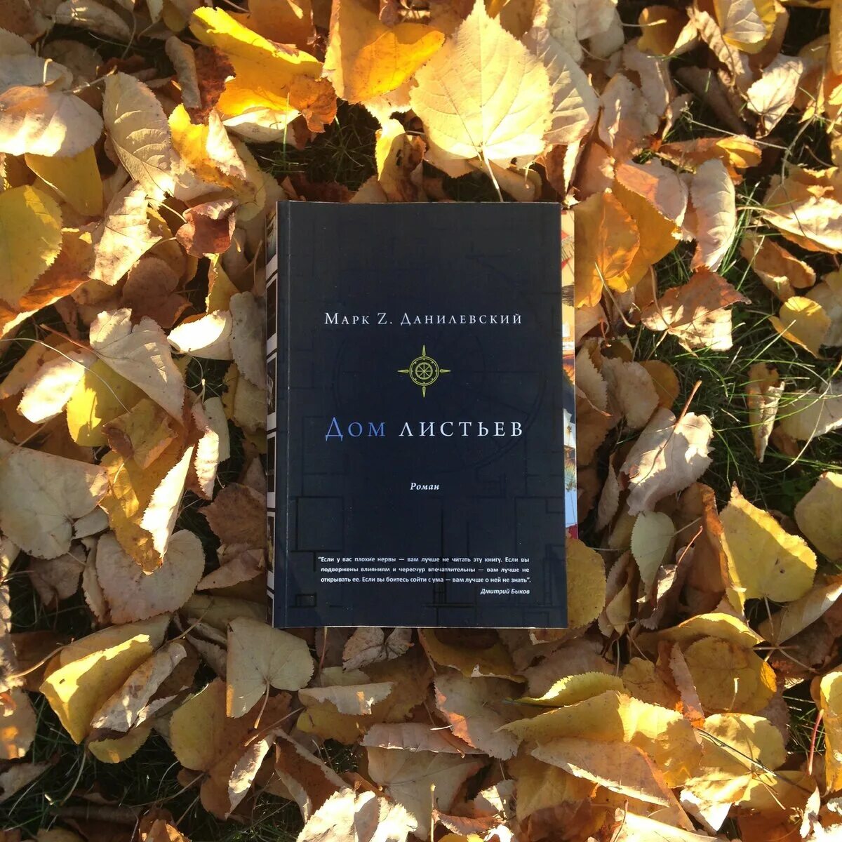 Дом листьев марка данилевского. Дом листьев марка данилевского. Книга листьев это. Определение дерева по листу. Дом листьев марка данилевского.