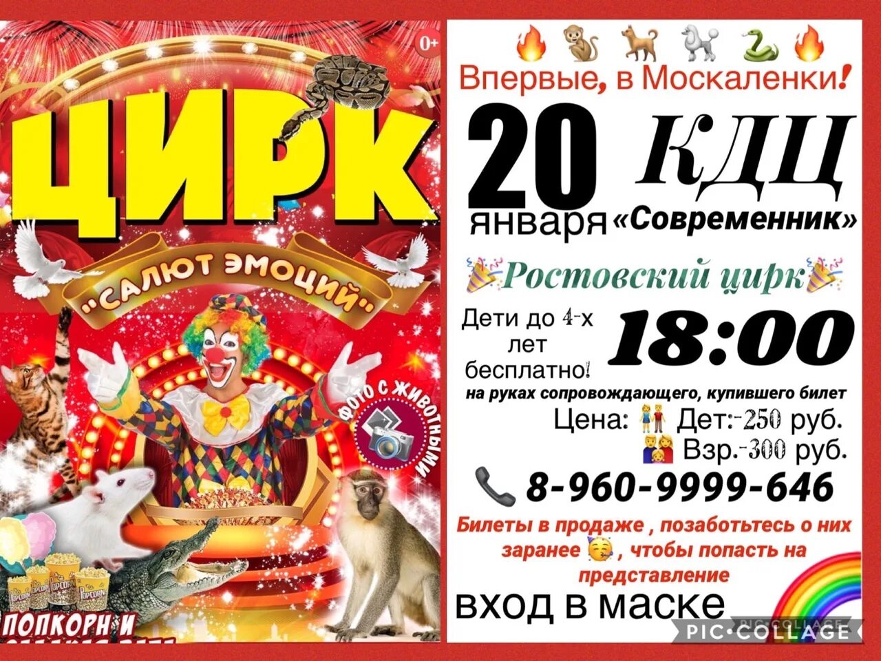 Афиша цирка в минске. Афиша цирка. Цирковая афиша. Цирк Ростов. Ростовский цирк цирк.