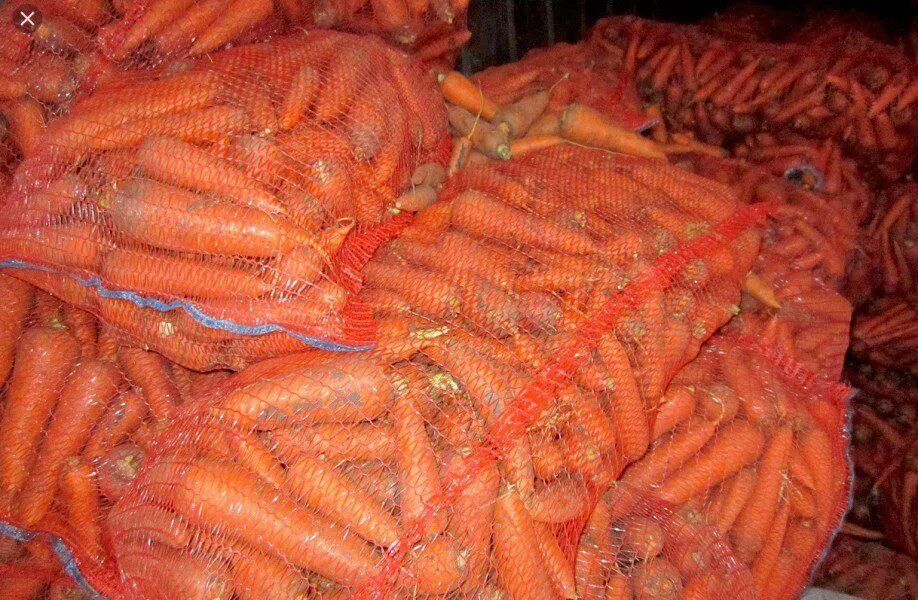 Купить морковь оптом. Мешок моркови. Морковь, сетка. Морковка в сетке. Сетка для овощей.