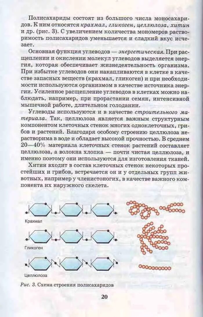 Биология 9 класс 19. Биология 9 кл учебник Пасечник Каменский. Введение в общую биологию 9 класс Пасечник. Биология 9 класс Пасечник Каменский Введение в общую биологию. Биология 9 класс учебник Пасечник Каменский Швецов.