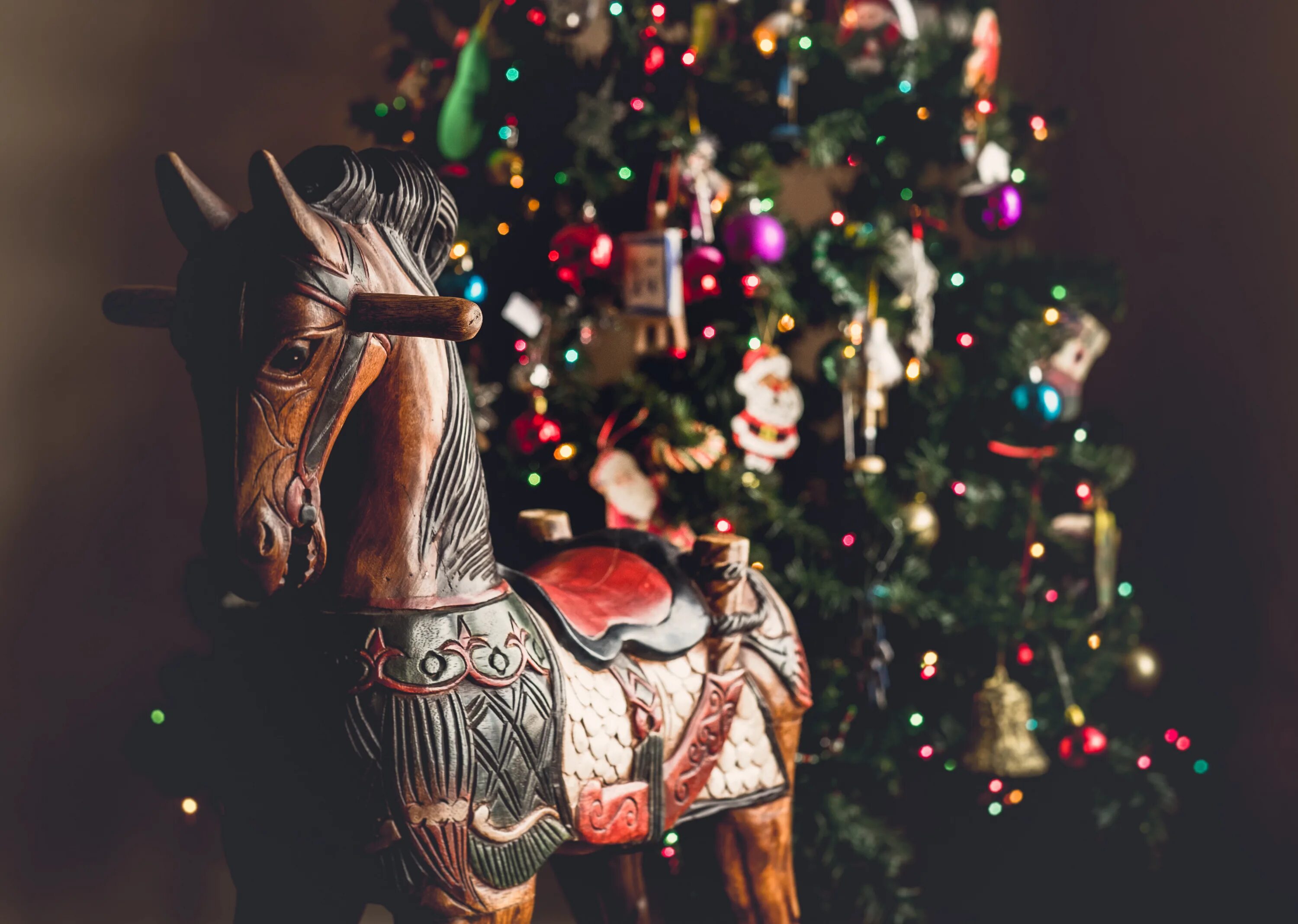 Новогодняя лошадь. Милые лошади. Christmas horse. Лошадь в новогоднем колпаке. Новогодний венок на лошадь.
