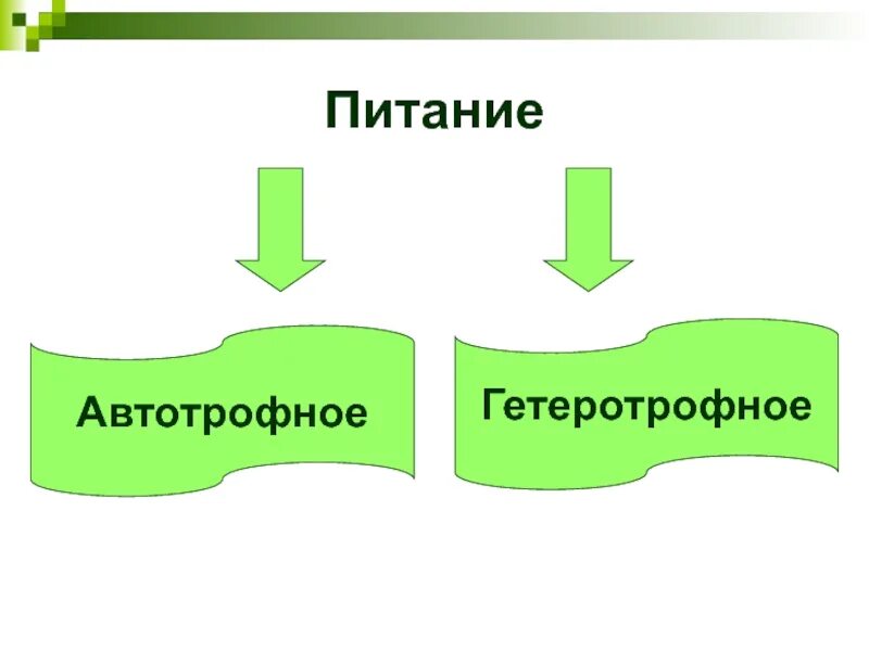 Какое питание автотрофное или гетеротрофное. Автотрофное питание. автотрофные и гетеротрофные. автотрофный и гетеротрофный тип питания. автотрофное или гетеротрофное питание.