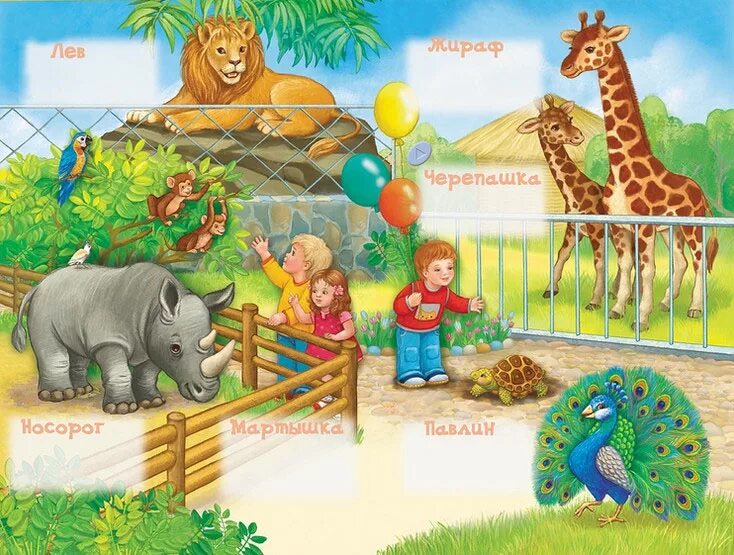 стихотворение про животных для детей. звери в зоопарке. зоопарк картинки. хвостатый лемур. зоопарк для дошкольников.