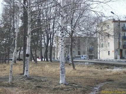 49 км