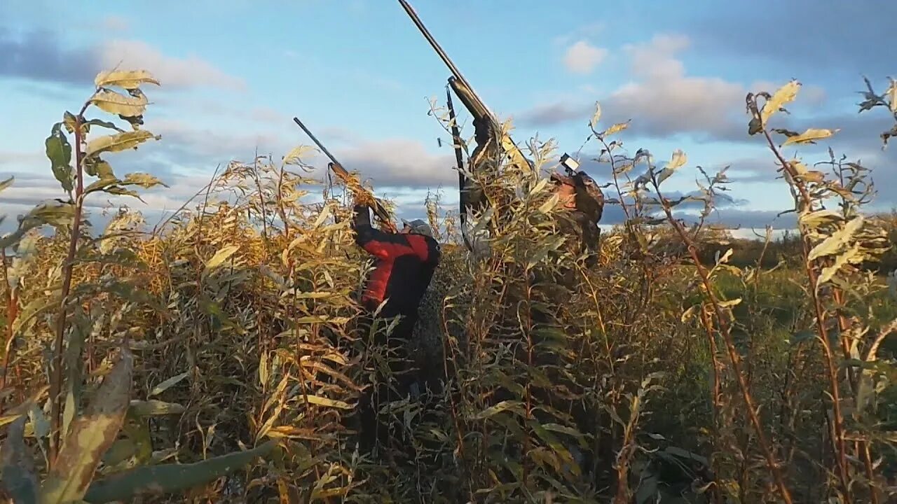 Зимняя рыбалка в казахстане 2020-2021. Орз тв - охотники и рыболовы заполярья. Фон для шапки игрового канала. Охота и рыбалка. Орз охотники и рыболовы.