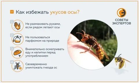 Если ребенка укусила оса что