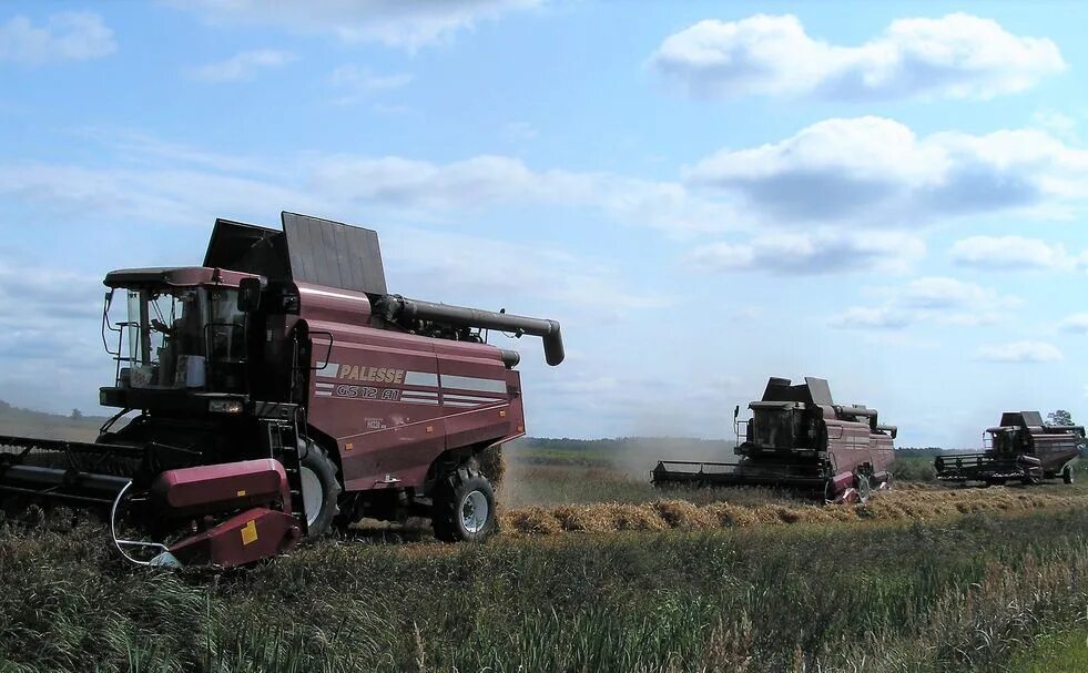Полесье gs 12 pro. Полесье 812 комбайн зерноуборочный габариты. Комбайн палессе gs10. Кзр-10 полесье-ротор. Комбайн палессе gs12 кзс-1218.
