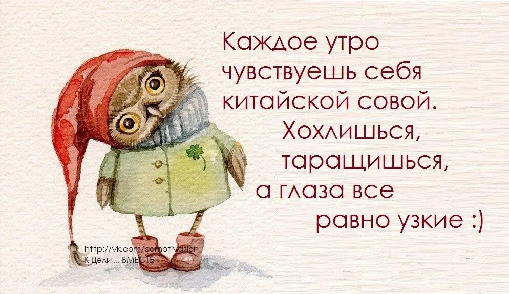 Никогда в жизни не раньше. Смешные цитаты с добрым утром. Про выходные смешные. Смешные цитаты про выходные. Приколы про выходные в картинках.