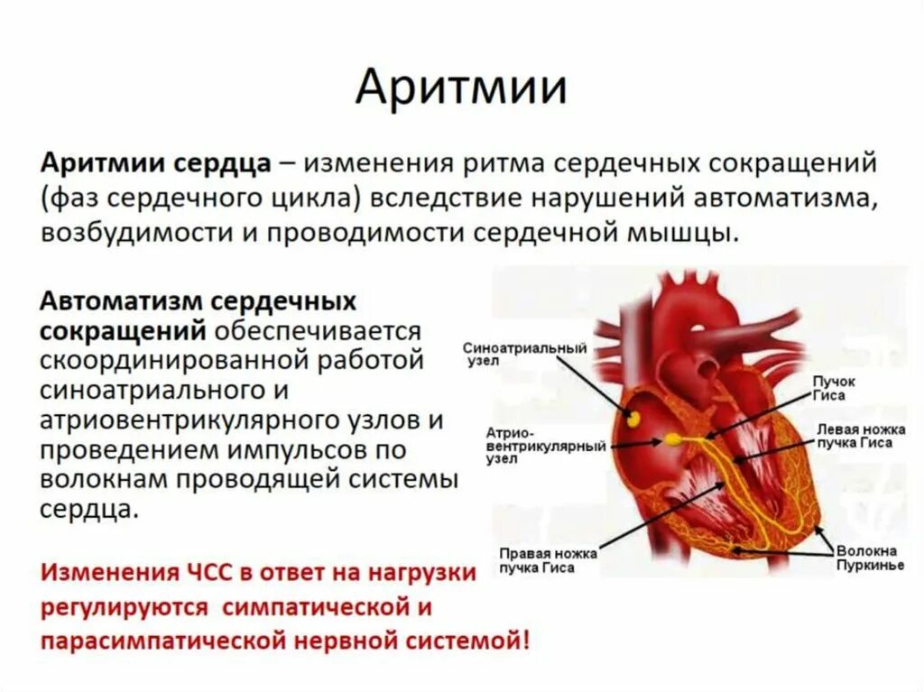 Аритмия и гипертония. Патология сердечно сосудистой системы схема. Заболевания сердца названия. Болезни сердца список названий.