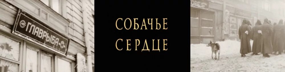 Собачье сердце что понравилось. Собачье сердце Бортко.