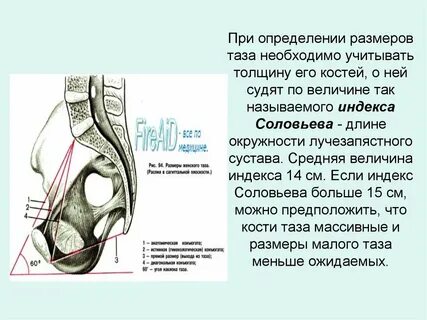 Конъюгат
