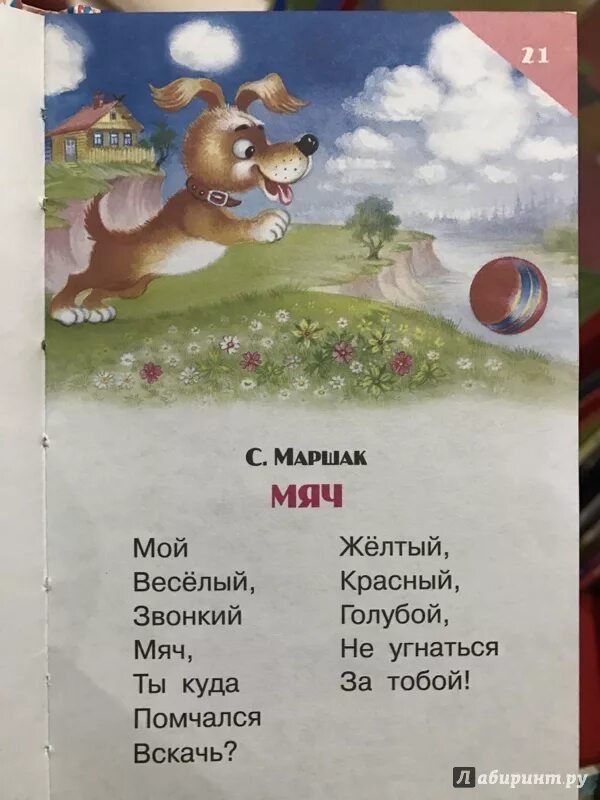 Звонкий мяч стих