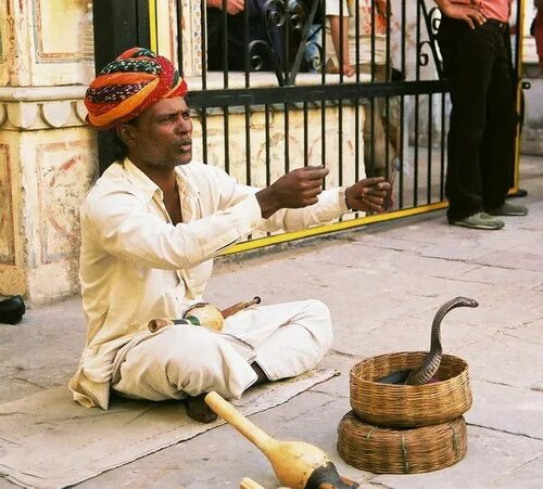 India-The-Snake-Charmer Snake charmer, Charmer, Snake