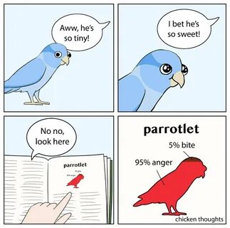 As a bird