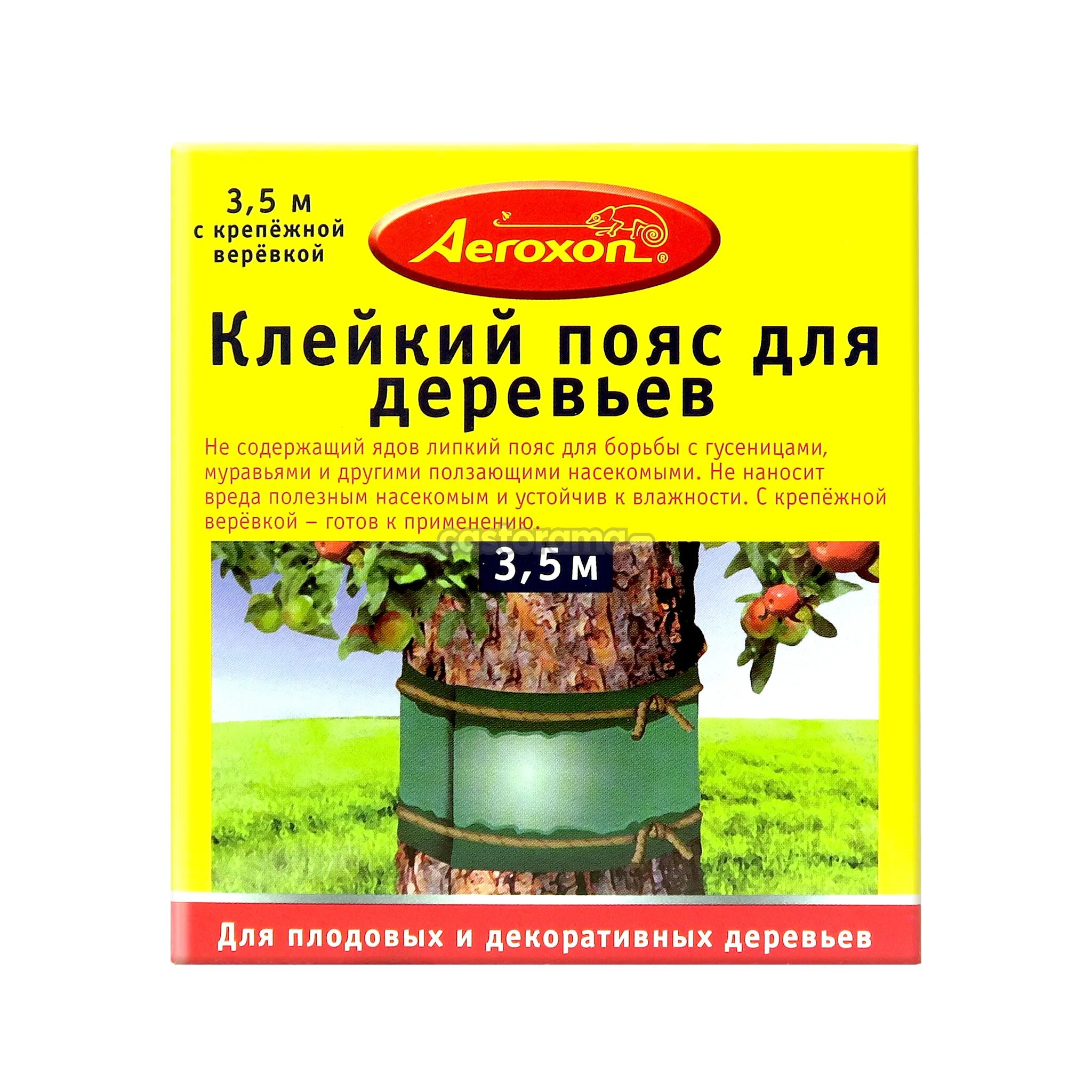 Защита садовых деревьев. Ловчий пояс для деревьев Aeroxon. Клейкий пояс "Aeroxon" для садовых деревьев. Клейкая лента от муравьев для деревьев. Ловчий пояс клейкий.