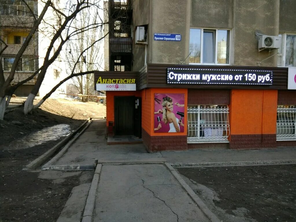 Котопес зоомагазин. Ветеринарная клиника березники котопес. Ветеринарная клиника котопес серпухов. Котопёс ветеринарная клиника серпухов. Котопес.