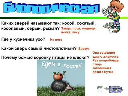 Как называют зверя которого